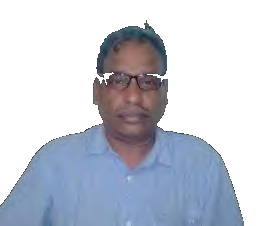 Engr. Golam Mostafa Dhali - CEO