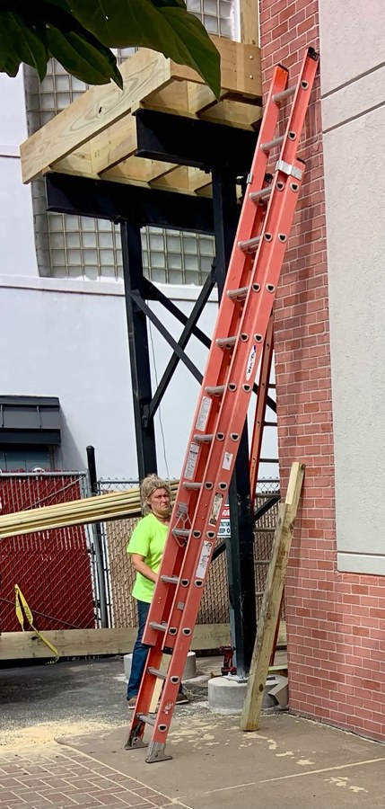 Ladder